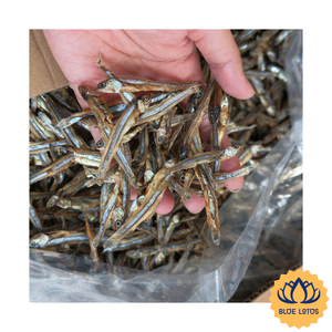 [BEST SELLER] |   Anchois séchés propres et de haute qualité (3-5cm, 6-9cm) – Fournisseur de produits de la mer pour les détaillants et les cafés, origine Vietnam - Product Image 1