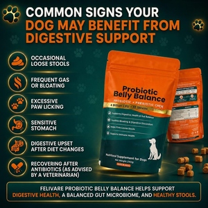 Proveedores de Suplementos Alimenticios Probióticos Naturales OEM ODM, Golosinas y Bocadillos para Perros, para el Cuidado de la Salud Intestinal - Product Image 4