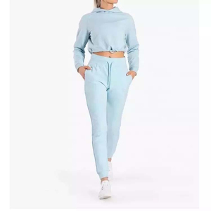 Hoodies courts pour femmes, doublés, à logo frontal, en molleton 100% coton, pour l'hiver, style décontracté, fabrication usine, service OEM personnalisé, prix abordable - Product Image 2