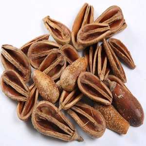 ช่อดอกไม้แห้งออร์แกนิกคุณภาพพรีเมียมยอดนิยมสำหรับงานแต่งงาน งานรับปริญญา ฮาโลวีน งานอีเว้นท์ที่บ้าน สำนักงาน ช่วงเทศกาลเดือนมีนาคม - Product Image 1