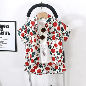 เสื้อยืดแขนสั้นพิมพ์ลายลำลองสำหรับเด็กผู้ชาย อายุ 1-12 ปี ชุดเสื้อผ้าเด็ก ราคาโรงงานถูกพิเศษสำหรับขายส่งช่วงซัมเมอร์ - Product Image 4