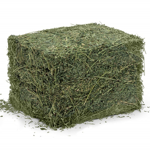 Heno de Alfalfa de la Mejor Calidad para Alimentación de Caballos y Ganado, Suministro a Granel - Product Image 5