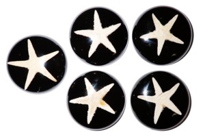 Starfish Real Specimen Plastic Cabochon Round 35x35 mm Black Flat Bottom for Crafts and Jewelry Making - Product Image 4