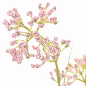 Plante artificielle en plastique de 37,4 pouces pour la décoration intérieure, durable et nécessitant peu d'entretien - Product Image 2