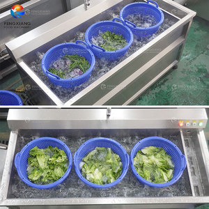 Lavadora Ultrasónica de Burbujas para Ensaladas de Verduras a Pequeña Escala, Secadora Centrífuga, Conjunto de Máquinas con Motor, Suministro Directo de Fábrica 400-600kg/h - Product Image 6