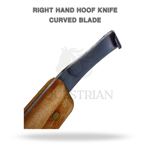 Couteau à sabot droit à lame courbée, outil vétérinaire pour l'examen et la coupe des sabots de cheval - Product Image 2
