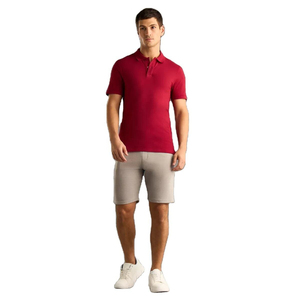 Men's Short Sleeve Solid Color Knitted <b>Polo</b> <b>Shirt</b> Regular Fit Casual <b>Red</b> - Product Image 4