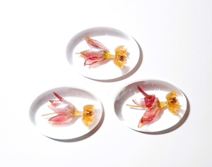 Cabujón de Plástico Transparente con Forma Ovalada de Flor de Milkweed Tropical, 18x25 mm, Base Plana para Manualidades y Joyería - Product Image 5