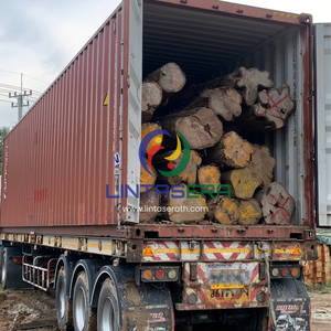 Premium Golden Teak Wood <b>Logs</b> from Thailand for Furniture Manufacturing Woodworking or Construction - Product Image 6