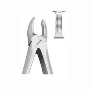 Forceps d'extraction pour implants dentaires avec motif standard anglais, instruments chirurgicaux dentaires pour canines/cuspides supérieures - Product Image 1