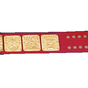 Ceinture de championnat sur mesure, vente en gros, haute qualité, personnalisée, populaire, vierge, pour la lutte, taille OEM - Product Image 5