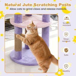 Albero per Gatti da Interno Moderno e Carino con Piattaforma, Elegante Tiragraffi per il Divertimento Felino - Product Image 5