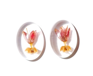 Cabujón de Plástico Transparente con Forma Ovalada de Flor de Milkweed Tropical, 18x25 mm, Base Plana para Manualidades y Joyería - Product Image 4