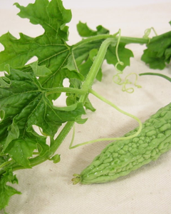 Feuilles de melon amer 100% naturelles séchées, matière première pour tisane, approvisionnement en vrac, norme d'exportation - Product Image 3