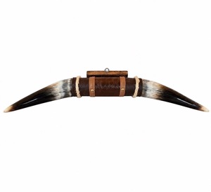 Mounted Steer Horn Set Eco-Friendly Handmade <b>Rustic</b> Modern Animal Love Polished Horns Bull Western Home Decoration Easter - Product Image 4