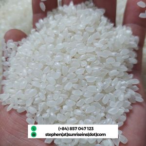 Riz Japonica Premium pour Sushi, Grain Court, 5% de Brisure, Blanc Séché, Texture Ferme, Durée de Conservation 24 Mois, Récolte 2026, Origine - Product Image 3