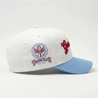 Gorra de Béisbol Deportiva Personalizada con Bordado 3D en Relieve, Visera Curva de Perfil Alto, Ajustable, Estructurada, de 5 Paneles, con Logotipo OEM ODM