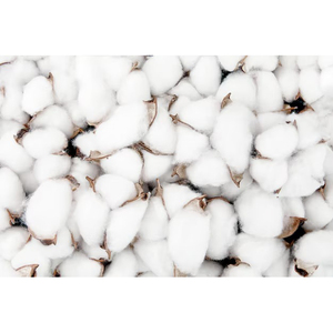 Fil de coton peigné 100% Ne 80/1, fil blanc brut compacté pour le tricot et le tissage - Product Image 6