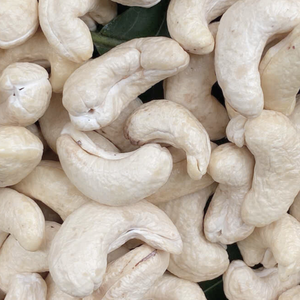 Oferta Especial 2023: Nueces de Anacardo Crudas WW180, WW240, WW320, LP, Nueces de Anacardo W180 Listas para Enviar - Product Image 1