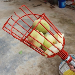 Cueilleur de fruits manuel robuste à long manche |   Outil de cueillette de fruits léger et réglable avec panier rembourré en mousse souple |   pour Mango Apple - Product Image 4