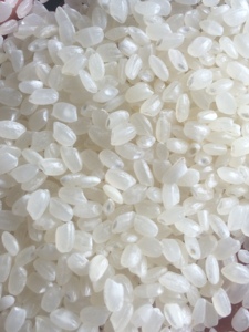 Riz brisé de qualité supérieure, grain rond séché, variété de riz pour sushi, texture ferme, nouvelle saison, emballage - Product Image 6