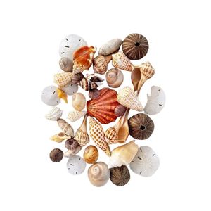 Meilleures ventes : Artisanat décoratif écologique fait main en coquillages naturels pour la maison, la plage et les mariages - LOTUS BLEU - Product Image 1