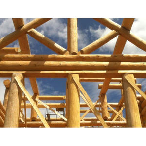 Troncos de Madera Dura de Primera Calidad, Vigas Redondas para Construcción, Madera Sólida y Resistente, Ideal para Edificación, Carpintería y Estructuras - Product Image 2