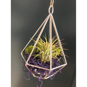 Caja Decorativa de Vidrio con Borde de Latón Vintage, Tapa con Bisagras, Cofre del Tesoro, Contenedor de Vidrio para Terrario, Almacenamiento de Joyas y Centro de Mesa - Product Image 2