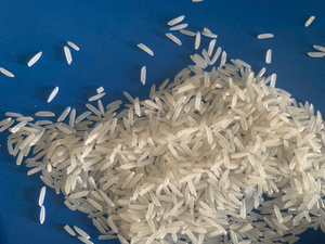 ข้าวหอมมะลิเมล็ดยาวเวียดนาม ST25 อบแห้ง ไม่ใช่พืช GMO ได้รับการรับรองมาตรฐาน HACCP คุณภาพพรีเมียม ราคาขายส่งที่ดีที่สุด ปี 2026 - Product Image 5