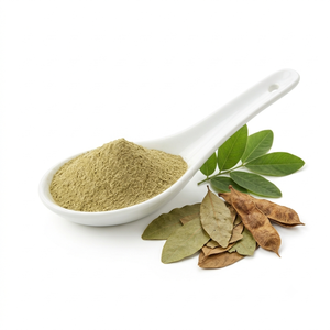 Extrait naturel de Senna Alexandrina, extrait de plante botanique de qualité supérieure, fournisseur en gros, fabricant en Inde - Product Image 2