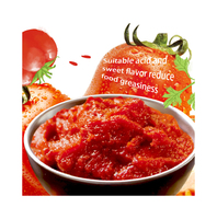 Pâte de tomate en conserve de qualité supérieure, 100 % pure, goût sucré, sans additifs, durée de conservation de 24 mois, best-seller