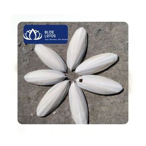 [VENTA CALIENTE] Hueso de Sepia Sin Granos y Alto en Proteínas para Aves, Peces y Serpientes - Alimentación Diaria para Criadores y Suministro Minorista Vietnam - Product Image 1