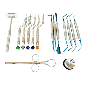 Kit de chirurgie buccale vétérinaire manuel ergonomique de 9 pièces, en acier inoxydable de qualité allemande, autoclavable et pliable - Product Image 1