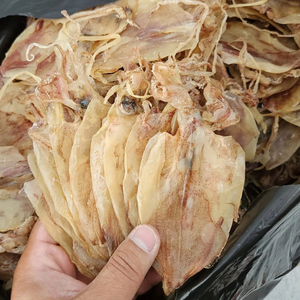 Polvo de Calamar Premium, Polvo Fino de Carne de Calamar para Sazonar y Sopas, Proveedor de Mariscos de Vietnam ANGLE - Product Image 6