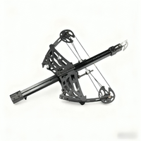 Arbalète de chasse puissante pour l'extérieur, prête à l'emploi, tir de haute précision avec billes d'acier, arc composé pour la chasse et le tir