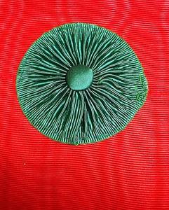 Masonic Revival - Mandil de Caballero Masón (Solo Mandil) 100% Hecho a Mano con Bolsillo de Cinta en la Parte Posterior - Product Image 3