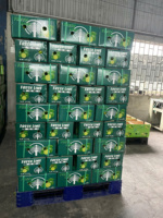Export Standaard Biologische Pitloze Lime Vietnam Lang Hoge Premium Kwaliteit Verse Groene Groothandel Bulk Hoeveelheid TECHMIFOOD Merk