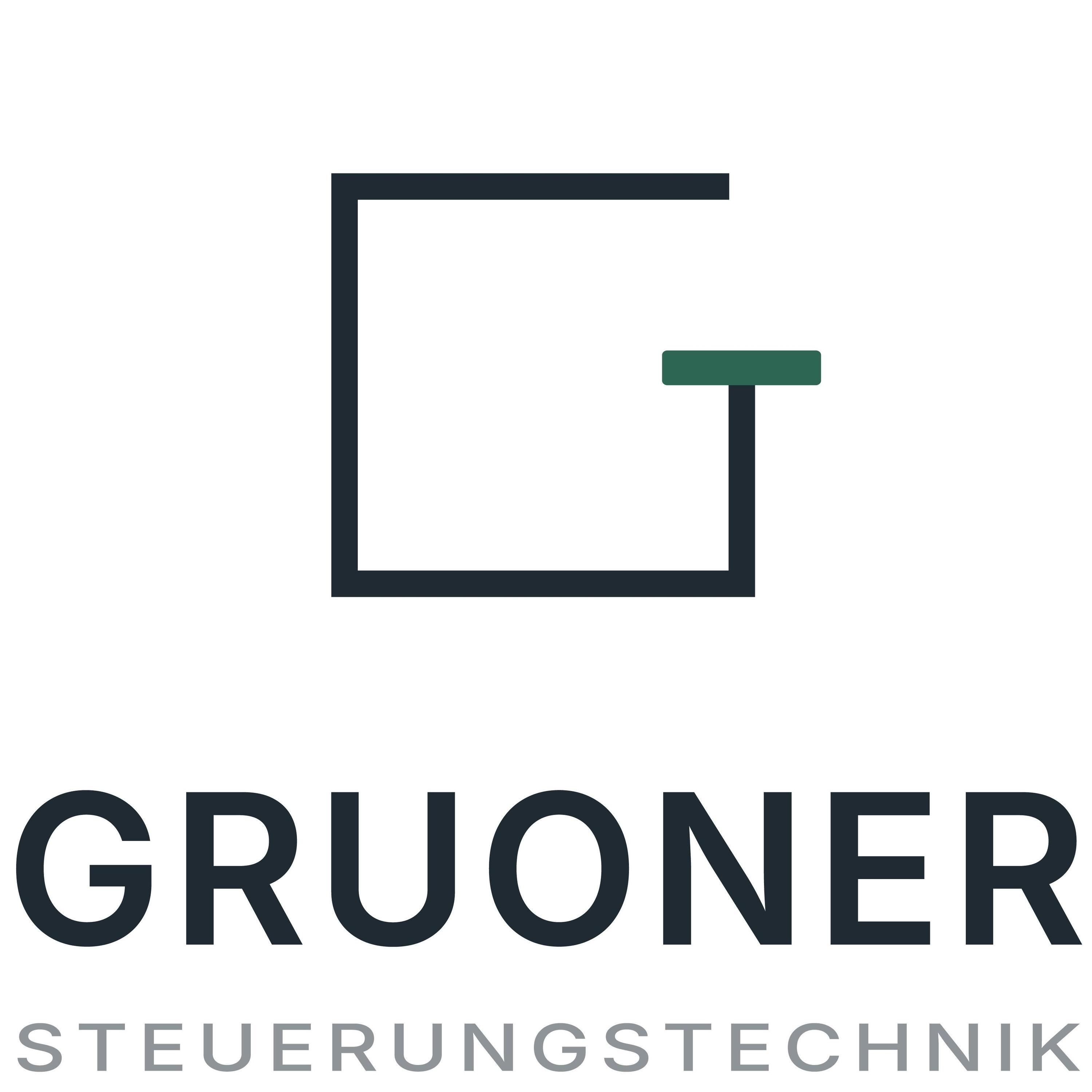 Gruoner Steuerungstechnik Inh. Mark Gruoner logo