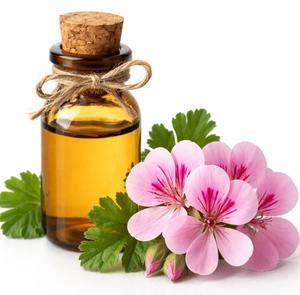 Huile Essentielle de Géranium Rose Pure en Gros OEM, Huile Distillée à la Vapeur en Vrac pour l'Aromathérapie, les Soins de la Peau, les Soins Capillaires et la Fabrication de Savon - Product Image 1