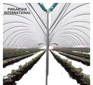 Serres agricoles professionnelles à simple travée Pingaksha, en acier galvanisé avec couverture en film, pour usage en ferme et pépinière, qualité export - Product Image 3