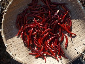 Chile ojo de pájaro seco de Vietnam-Precio barato mayorista y exportador a granel - Product Image 6
