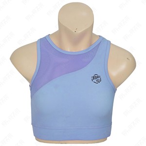 Sujetador deportivo de alto impacto para mujer, talla grande, sin costuras, para yoga, acolchado, top de gimnasio, ropa deportiva transpirable, diseño 2026, al por mayor - Product Image 4