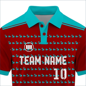 <b>Cricket</b> Team Uniform Manufacturer Custom Breathable Sportswear Supplier - Product Image 4