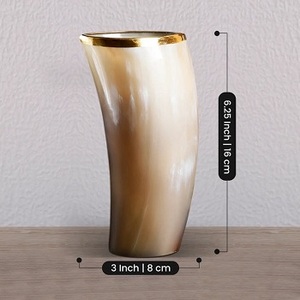 Handcrafted Modern Eco-Friendly Buffalo Horn Glass Tankard Premium Natural Shape Handmade for <b>Beer</b> Ale Celebrations (New - Product Image 4