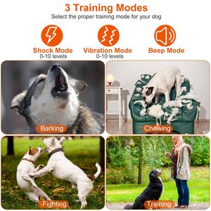 Collare Elettrico Ricaricabile per Addestramento Cani con Funzioni di Bip, Vibrazione e Shock - Accessori per Addestramento Animali - Product Image 2