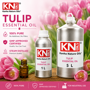 Aceite Esencial de Tulipán 100% Puro, Venta al por Mayor, Fabricante, Tulipa Premium, Mayorista, Certificado Orgánico, Exportador a Granel, Suministro de Fábrica - Product Image 1