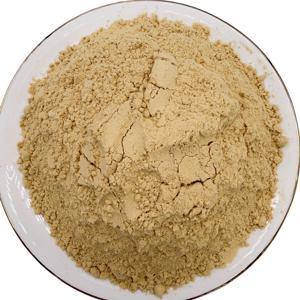 Polvo de Raíz de Jengibre 100% Puro de Alta Calidad, Extracto Herbal Soluble en Agua, Disponible a Granel al Mejor Precio - Product Image 5