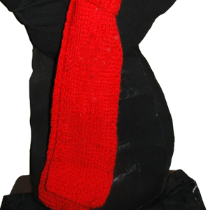 Écharpe en tricot jacquard rouge premium pour sororité, ensemble long et fin en acrylique au crochet, avec pompons, pour l'hiver, unisexe, confortable, style foulard/muffler - Product Image 2
