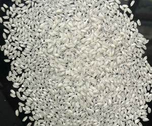 Camolino Rice – Premium Egyptian Rice | Soft Texture Fragrant Taste Authentic Middle Eastern <b>Grain</b> - Product Image 5