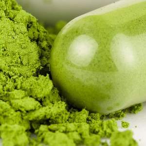 WARRLY - Extracto de Hoja de Moringa Natural Premium en Polvo, 99% Puro, Grado Alimenticio, Envasado al Vacío y en Envase de Plástico, Suministro a Granel - Product Image 5